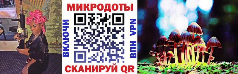 Купить закладки Каменка Псилоцибиновые грибы мухоморы