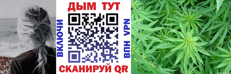 Купить закладки  Каменка  Канабис сатива 